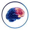 Brainstorm