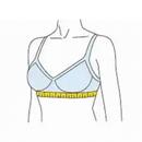 Breast Workout, The Secret Of  APK