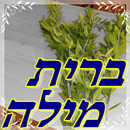 ברית מילה APK