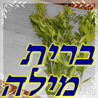 ברית מילה icono