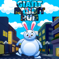 Giant Rabbit Run