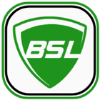 BSL CARD ikon
