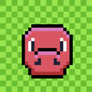 APK BollBoll