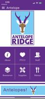 Antelope poster