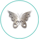 Butterfly Steels icône