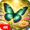 Butterfly Wallpapers 4K APK