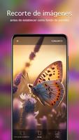 Fondos de pantalla mariposas captura de pantalla 3