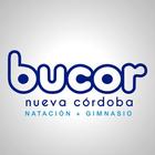 Bucor Nueva Cordoba icône