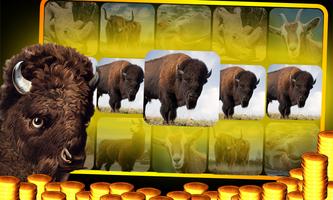 Buffalo Slot Machine : Casino  Affiche