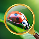 Insekten Scanner & Bestimmen APK