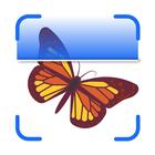 InsectAI icon