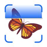 InsectAI icon