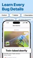 InsectAI screenshot 2
