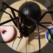 Bug Buster - Trò Chơi Con Nhện