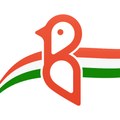 Bulbul: Video Shop. Non-Stop