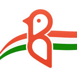 Bulbul: Video Shop. Non-Stop icon