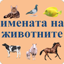 Animal names in Bulgarian APK