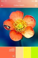 Colouriser By MobiPaints captura de pantalla 2