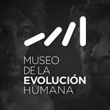 Museo de la Evolución Humana APK