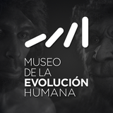 Museo de la Evolución Humana أيقونة
