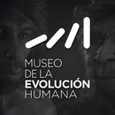 Museo de la Evolución Humana APK