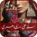 Sindhi Poetry Status APK