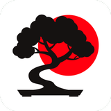 BONSAI APK