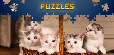 Cats Jigsaw Puzzles Free