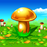 ikon Mushroomers