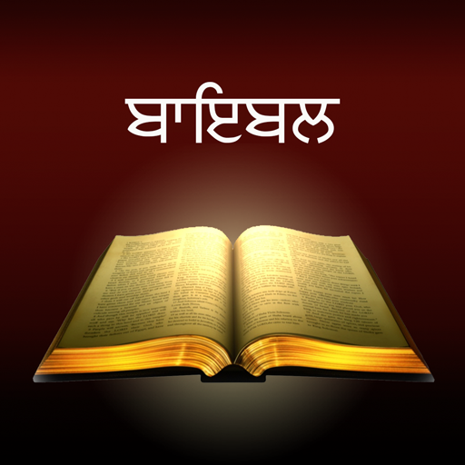 Punjabi Bible: Sacred Texts