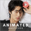 Byeon Woo Seok GIF Stickers APK
