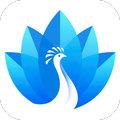 Nyumbani App
