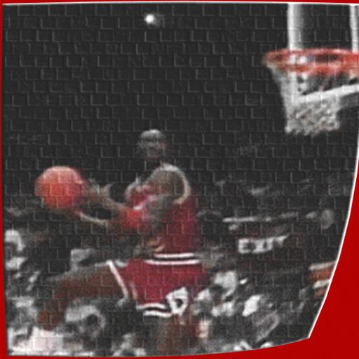 Jordan Retro Dunk LWP