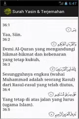Surah Yasin & Terjemahan アプリダウンロード