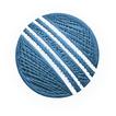 CricWeaves icon