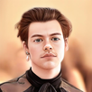 Harry Styles APK