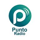 Punto Radio APK