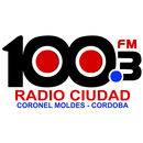 100.3 FM Radio Ciudad APK