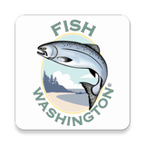 Fish Washington icône