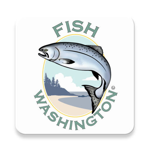 Fish Washington