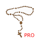 Learn Rosary Pro icône