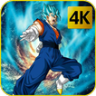 Goku Anime - Wallpapers  HD