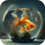 Goldfish Live Wallpaper