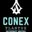 Xconejovpnx icon