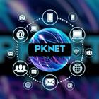 PK NET ไอคอน