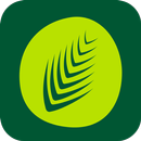almeera APK