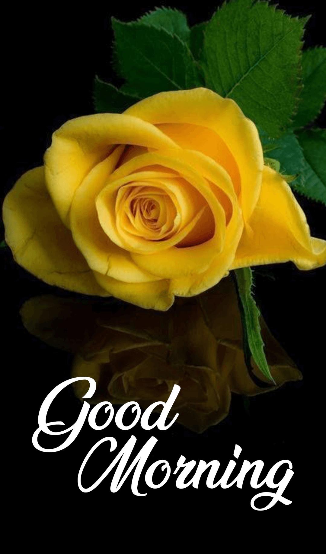 Good Morning Images APK for Android Download Good Morning Images APK for Android Download