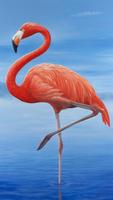 Flamingo Wallpapers screenshot 1