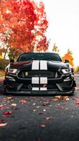 Ford Mustang Duvar Kağıtları gönderen