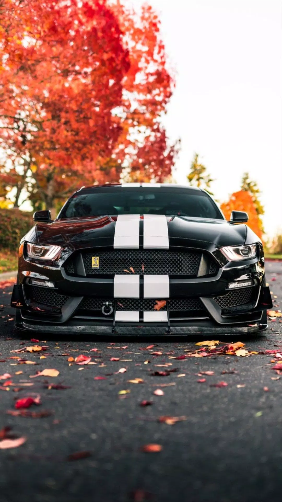 Ford Mustang Wallpapers APK for Android Download